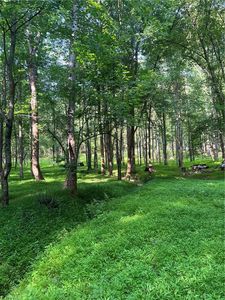 118 Tesi Ct, Greensboro, NC, 27455