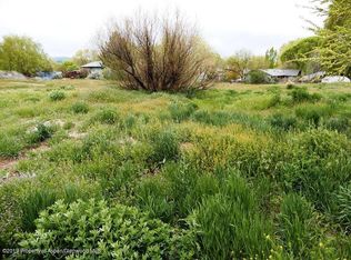317 W Orchard Ave, Silt, CO 81652