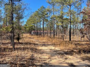 97 Paige Dr, Mauk, GA 31058