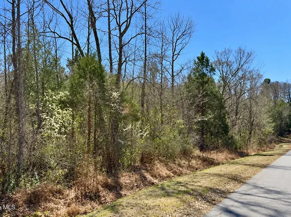 132 Bill Thomas Road LOT D, Moncure, NC 27559