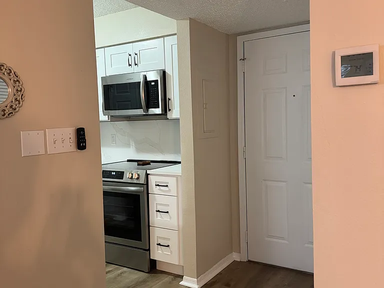 1000 W Horatio St #101 — Photo 4
