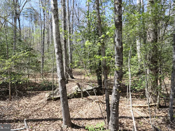 New Hampshire Rd, Rhoadesville, VA 22542