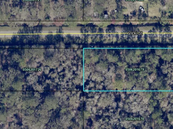 10305 NIKOLICH Avenue, Hastings, FL 32145