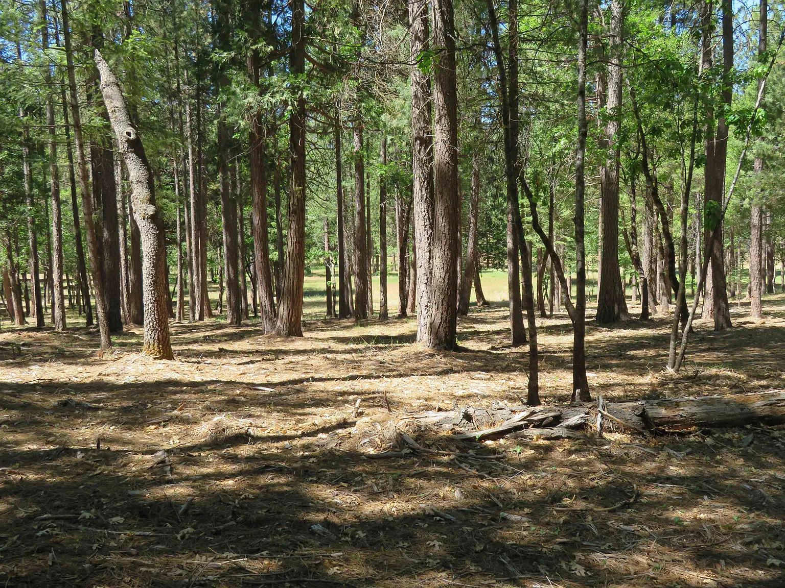 422 Main Ranch Rd photo 1