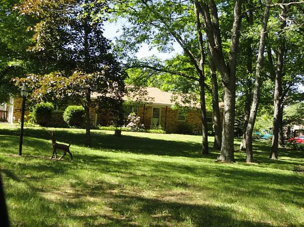 8425 Marquette Rd, Goodells, MI 48027