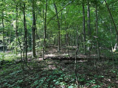 0 M 60, Cassopolis, MI, 49031