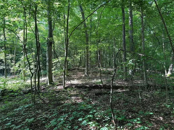 0 M 60, Cassopolis, MI 49031