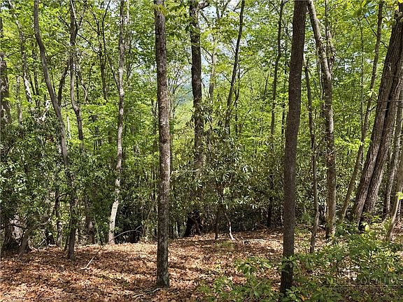 3rd image of TBD Elk Ridge Road