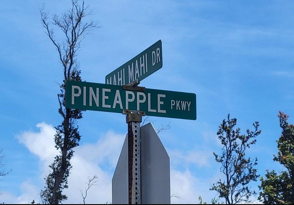 1st image of Pineapple Pkwy Lot 36