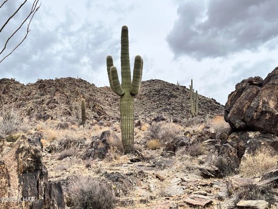 0 E Allison Dr, Yucca, AZ 86438