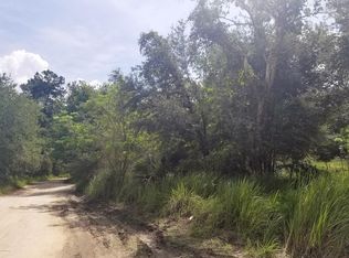4401 NE 132nd Ave, Silver Springs, FL 34488