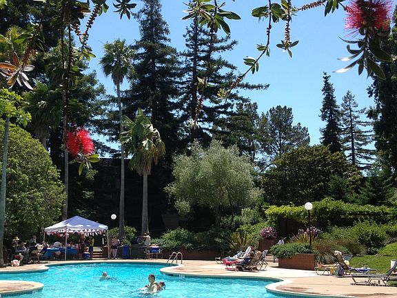 Main pool