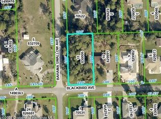 0 Blackbird Ave #9011, Brooksville, FL 34613
