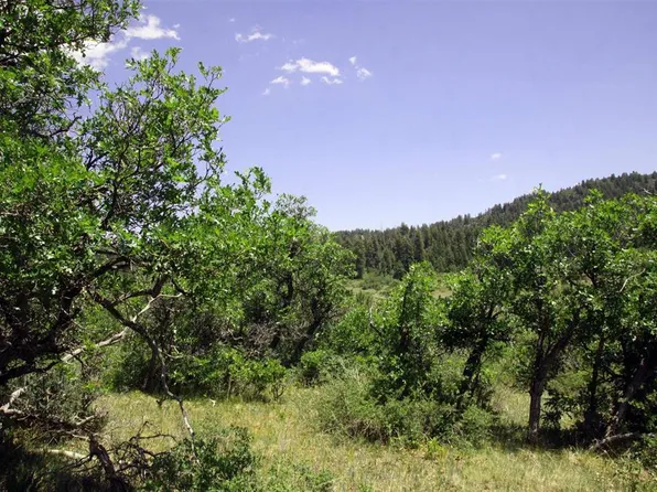 448 Clint Circle, Pagosa Springs, CO 81147