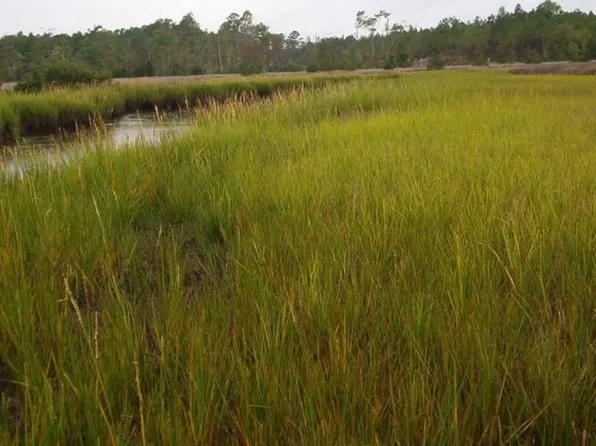 0 N River Road, Beaufort, NC 28516