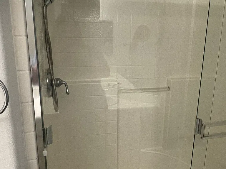 Primary Bathroom Shower
