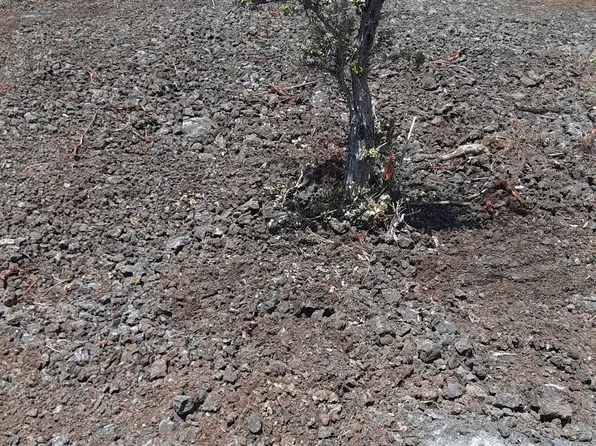 92-9168 Tiki Ln, Ocean View, HI 96737