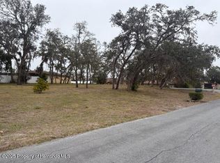 0 Tyler Ave, Spring Hill, FL 34606