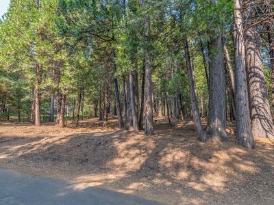 3285 Pocatello Cir #166, Arnold, CA, 95223