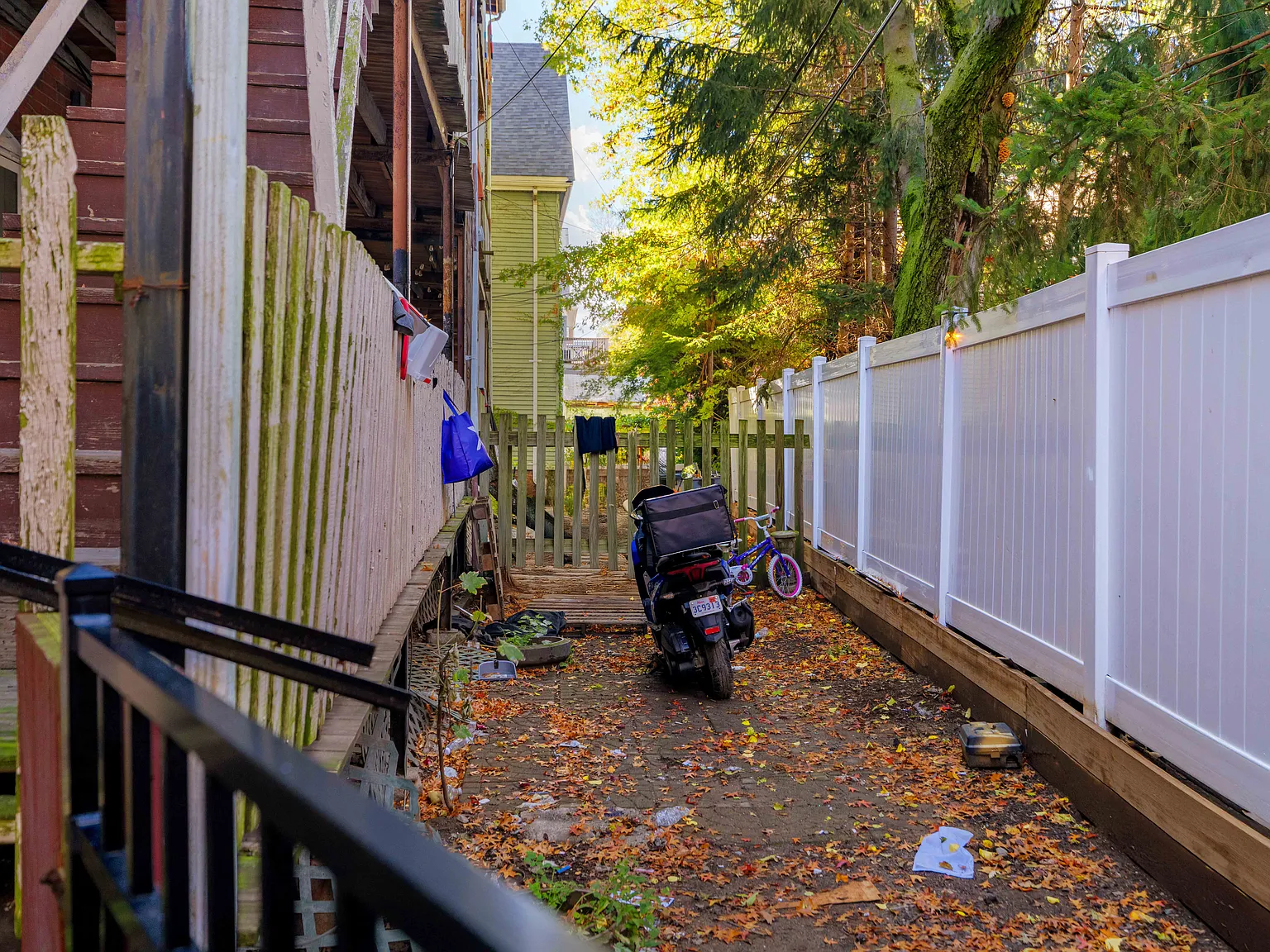 1 bed, 805 sqft, $2,600 — Photo 3