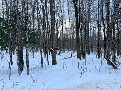 Lot 4A Center Hill Road, Weld, ME, 04285