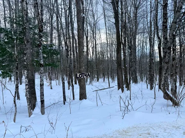 Lot 4A Center Hill Road, Weld, ME 04285