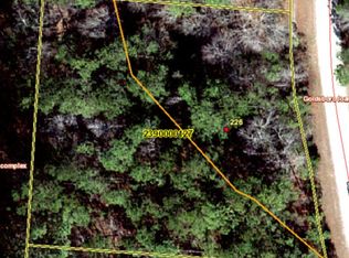 226 Deer Ridge Ct, Huger, SC 29450