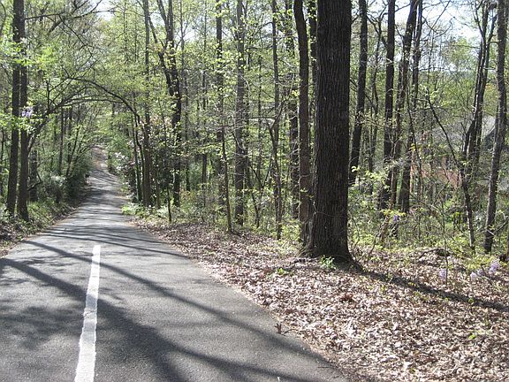 Blue Jay Road looking west