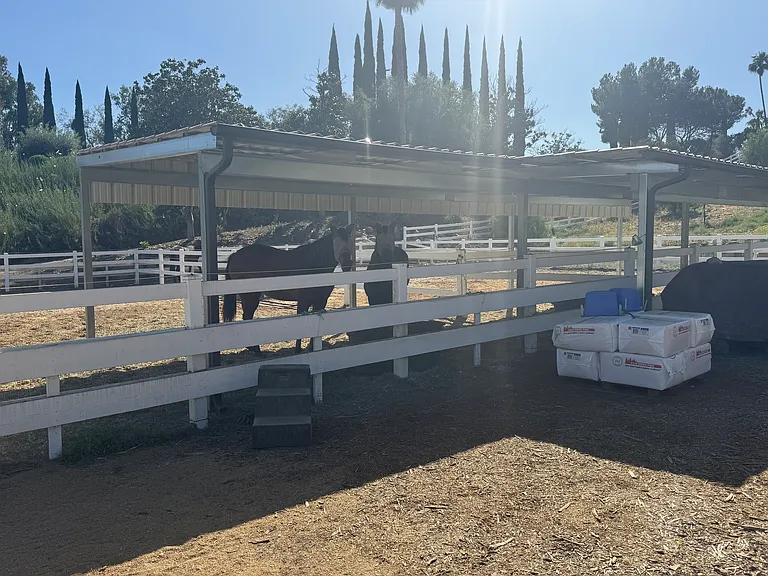7280 Via Mariposa Norte — Photo 41