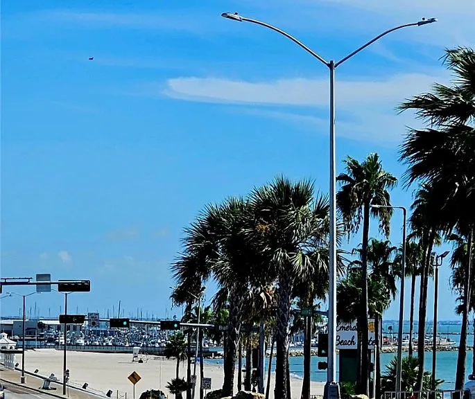 1117 Ocean Dr #D — Photo 13