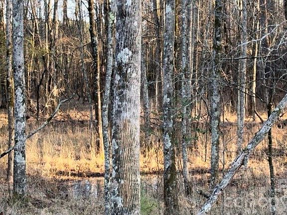 5th image of 8066 Gulf Creek Rd