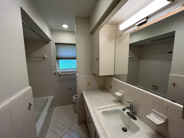Hall bathroom