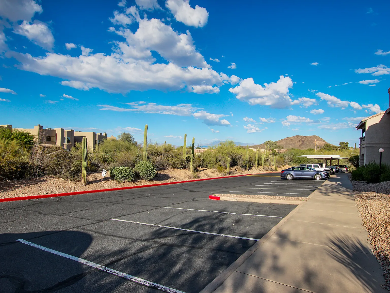 2 bed, 1005 sqft, $1,695 — Photo 3