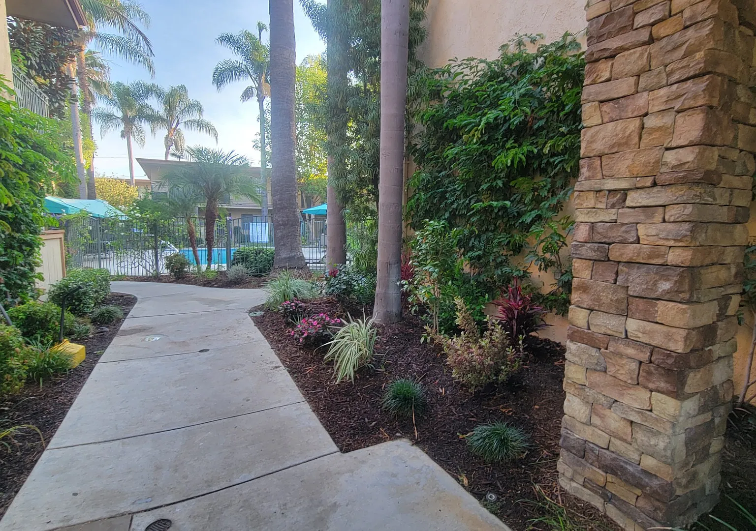 Palm Court Apartments — Photo 3