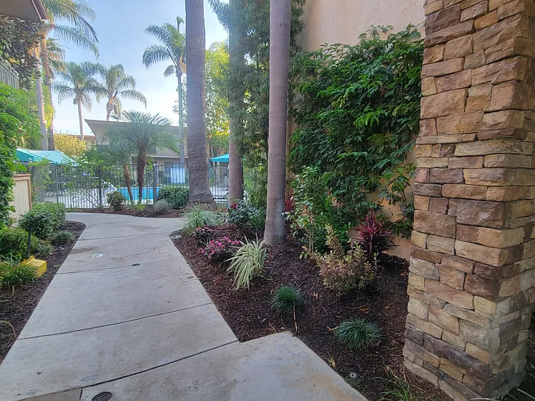 Palm Court Apartments — Photo 3