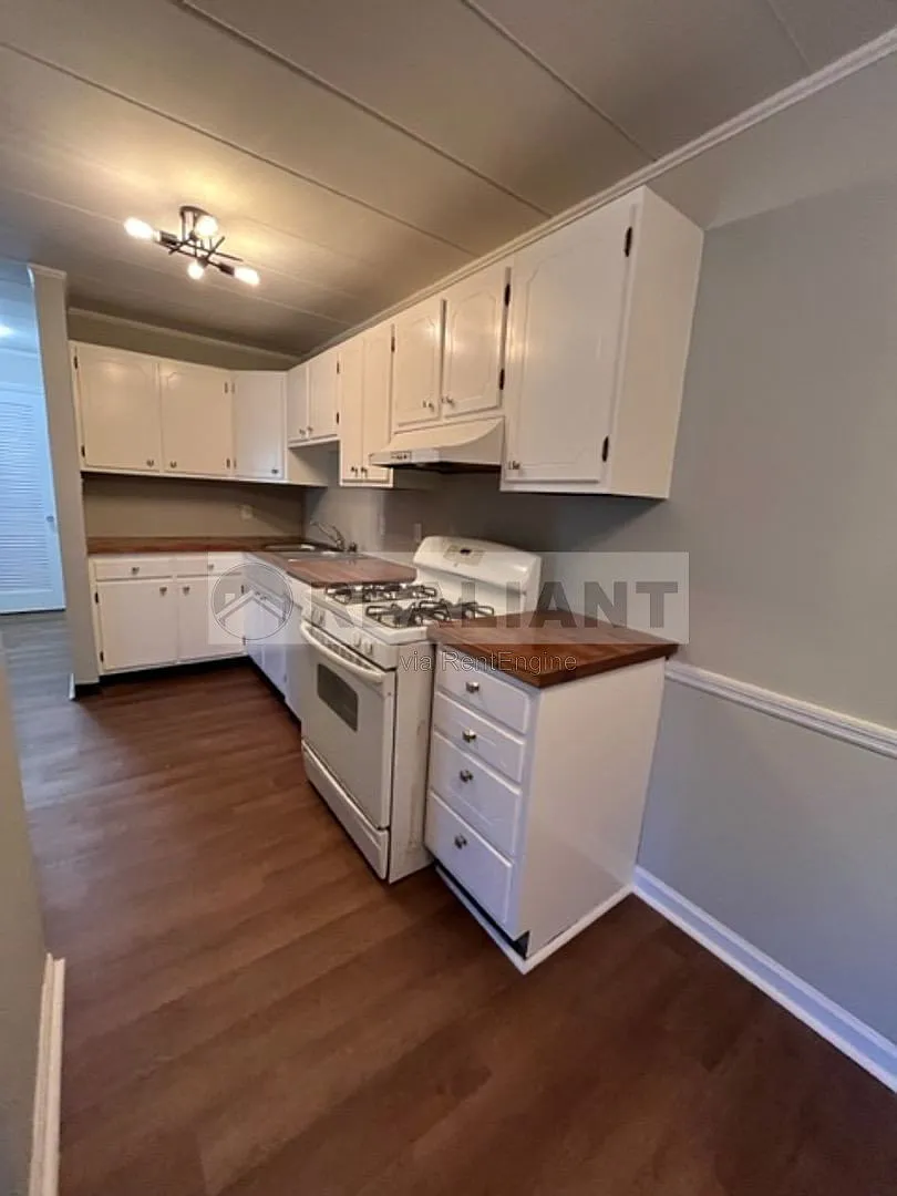 1 bed, 1.0 bath, $950 — Photo 3
