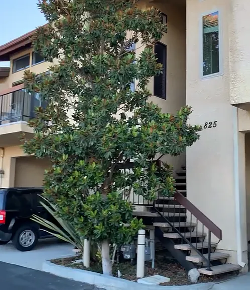 825 Warwick Ave — Photo 1