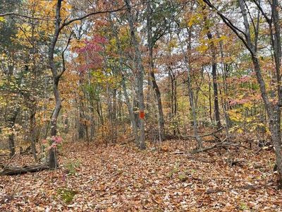 2 Pitts Gap Mountain Rd, Pikeville, TN, 37367