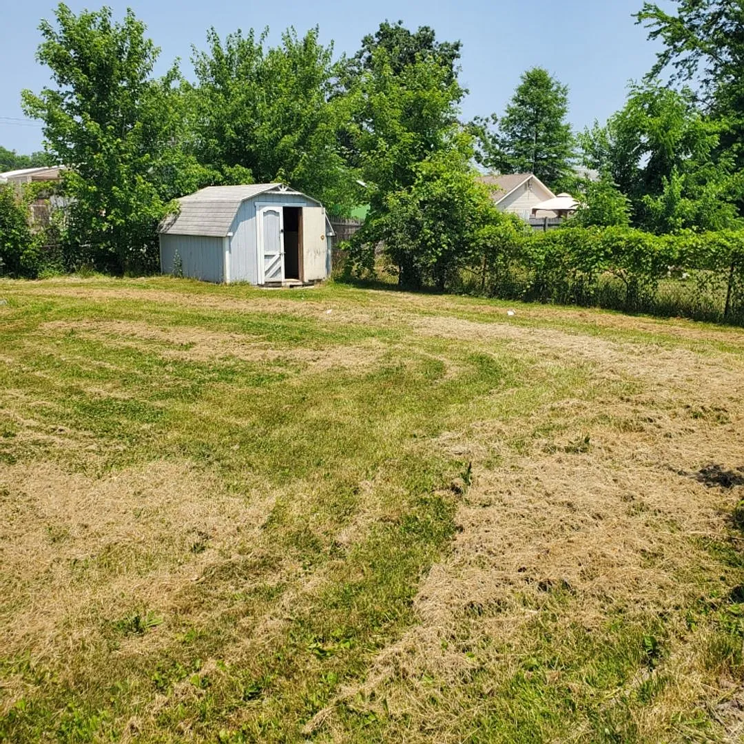 3bdrm House For Rent — Photo 3