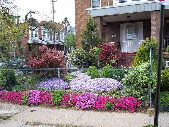 Photo 4