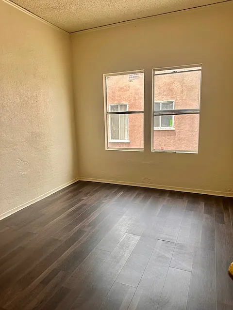 325 W 84th Pl — Photo 4