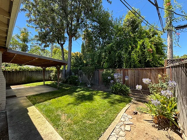 Spacious and private backyard