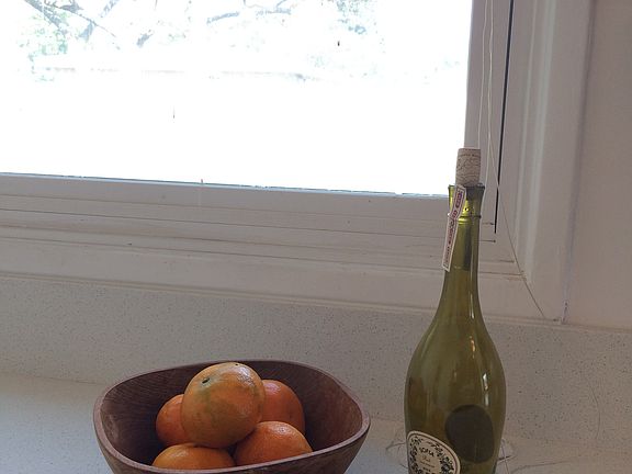 Kitchen looks out to large backyard