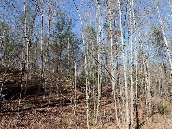 0 Wildwood Mountain Ln #19, Marion, NC 28752