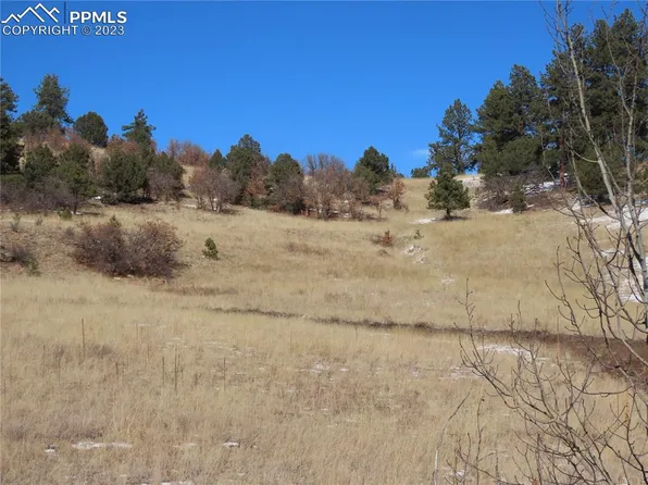 203 Pine Rd, Florissant, CO 80816