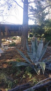 3354 N Mesquite Rd, Cochise, AZ, 85606