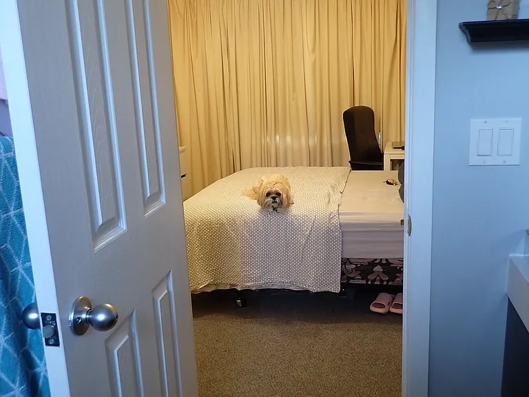 56 Perivale Cres #FRONT — Photo 25