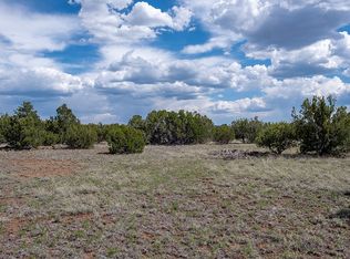 36 County Road 8056, Concho, AZ 85924