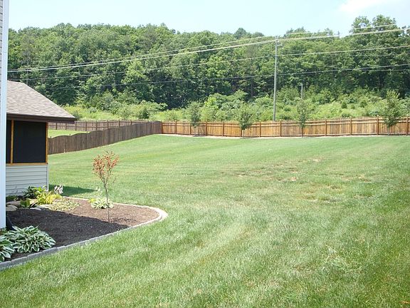 Backyard view from side of house 2