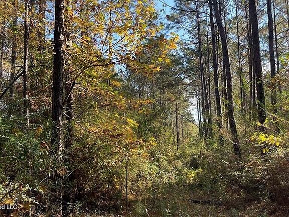 3rd image of Delaware Ave